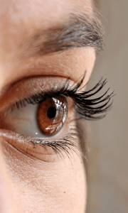 Brown Eye close up side view